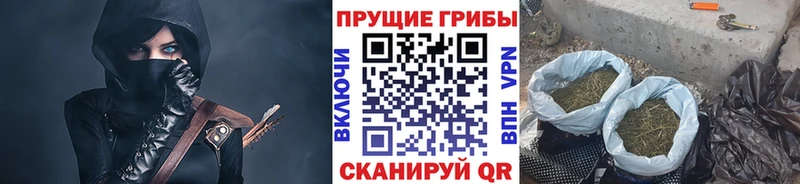 Псилоцибиновые грибы Cubensis  Салаир 